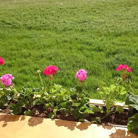 Geisler * מאיירהופן