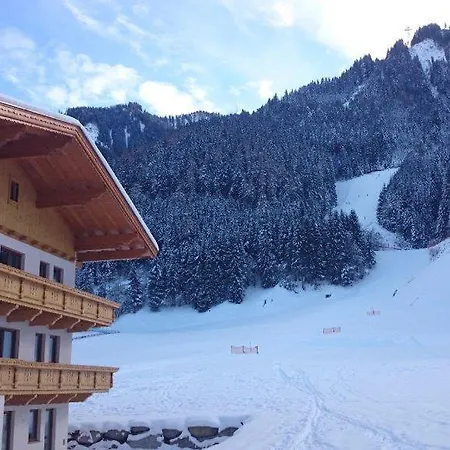 شقة Geisler